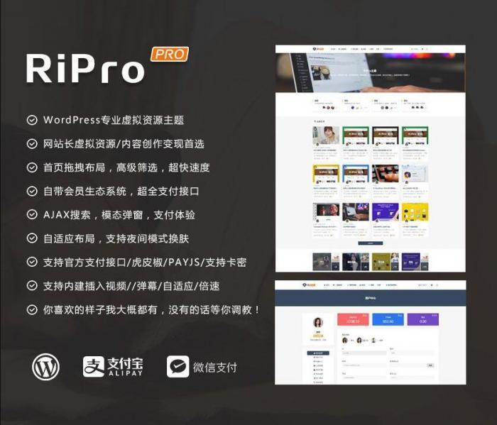 RIPro主题 v7.2 免授权修复后门完美版-淘源码网